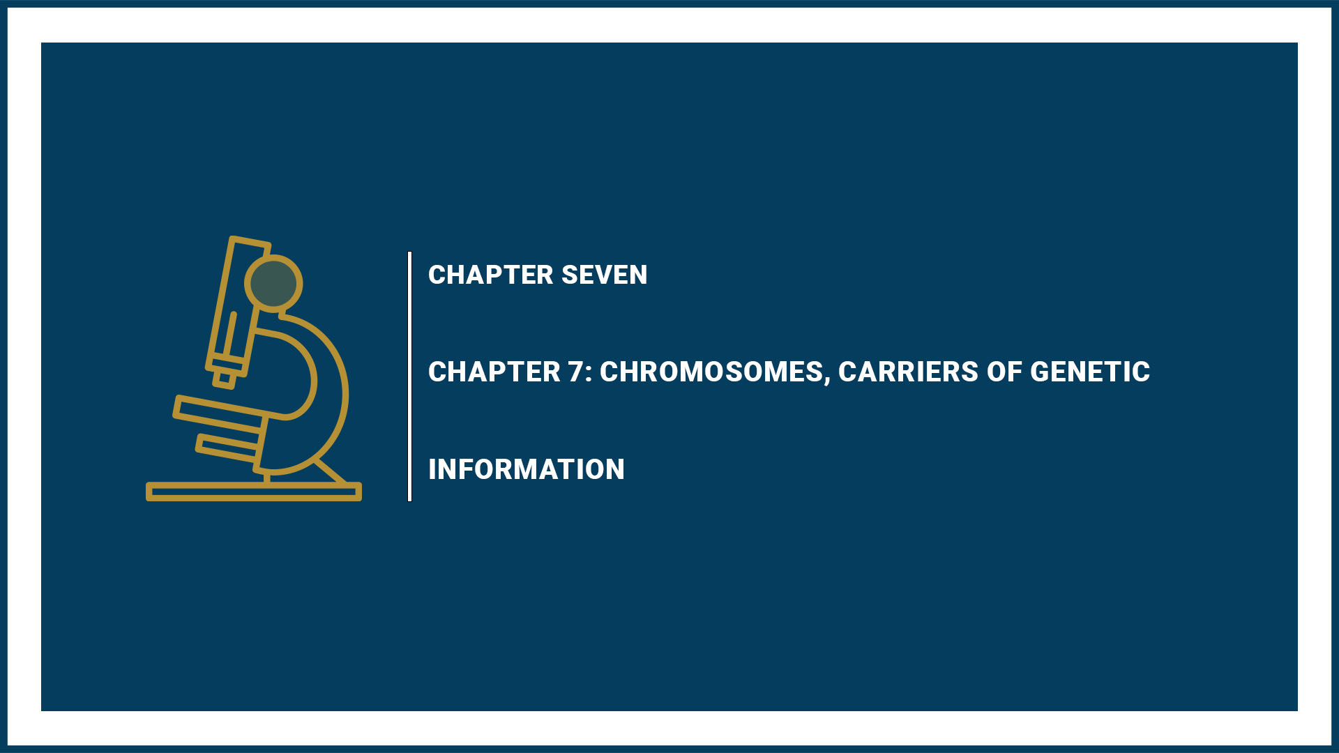 Chapter 7: Chromosomes, Carriers of Genetic Information (Introduction)